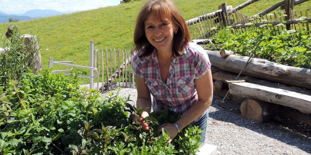 Kräuterpädagogin Vroni Obermüller in ihrem Berg-Kräutergarten "OiXund" auf der Stie-Alm, © Stiealm | Foto: Renate Mayer Kräuterpädagogin Vroni Obermüller in ihrem Berg-Kräutergarten "OiXund" auf der Stie-Alm, © Stiealm | Foto: Renate Mayer