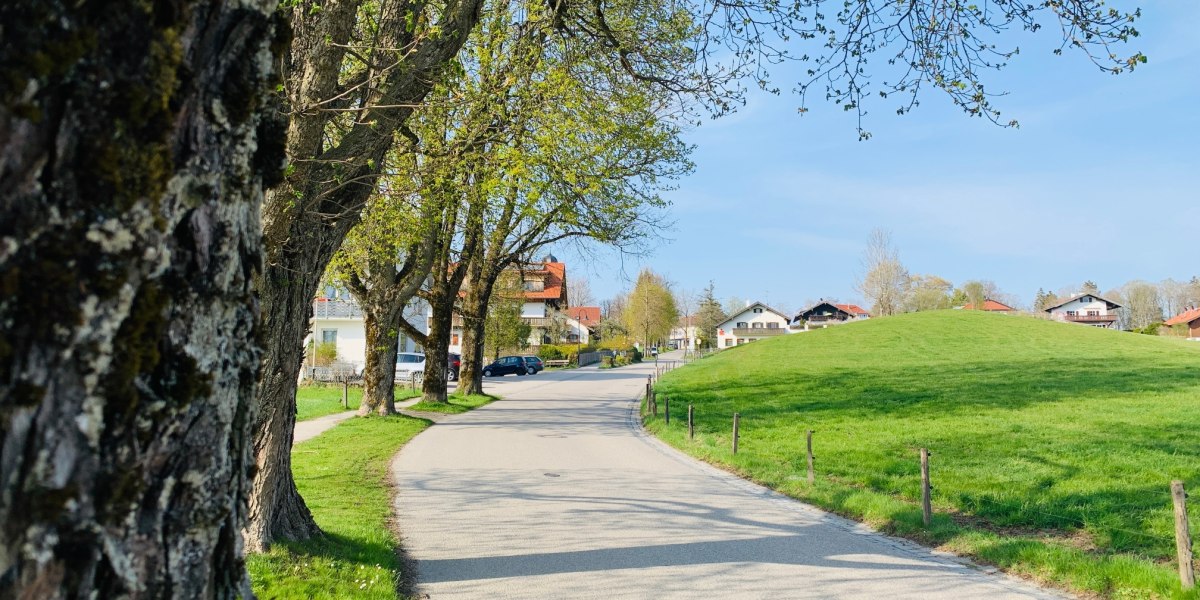 Allee bei Bad Heilbrunn, © Stadt Wolfratshausen Allee bei Bad Heilbrunn, © Stadt Wolfratshausen