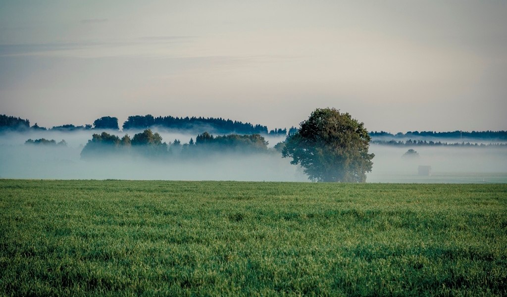 Rundfahrt im Loisach-Kochelseemoor, © Tourist Information Kochel a. See, Fotograf Thomas Kujat Rundfahrt im Loisach-Kochelseemoor, © Tourist Information Kochel a. See, Fotograf Thomas Kujat