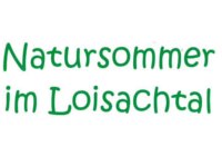 Bild 1 Bild 1