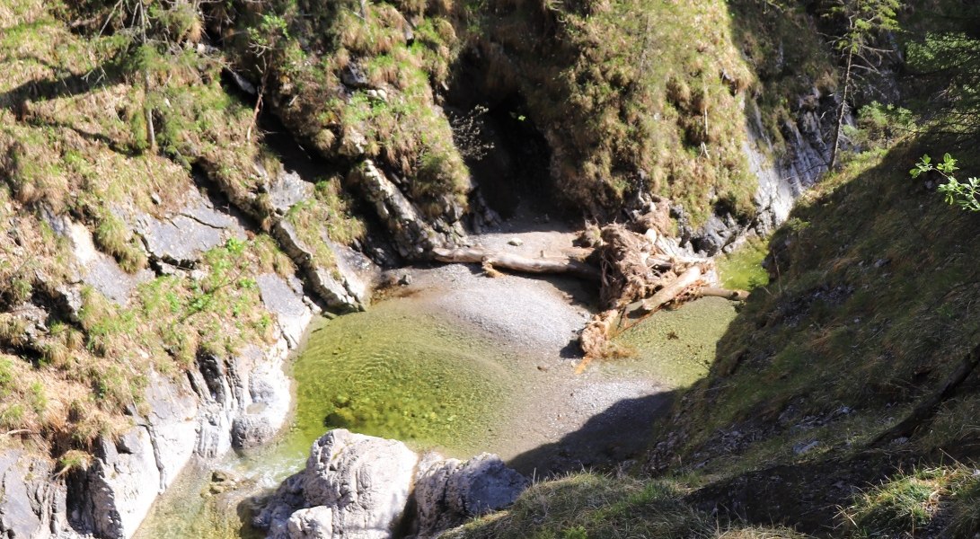 Dainingsbach-Schlucht am Walchensee, © Tourist Information Kochel a. See Dainingsbach-Schlucht am Walchensee, © Tourist Information Kochel a. See