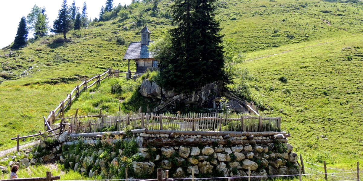Bergkräutergarten Stie-Alm Bergkräutergarten Stie-Alm