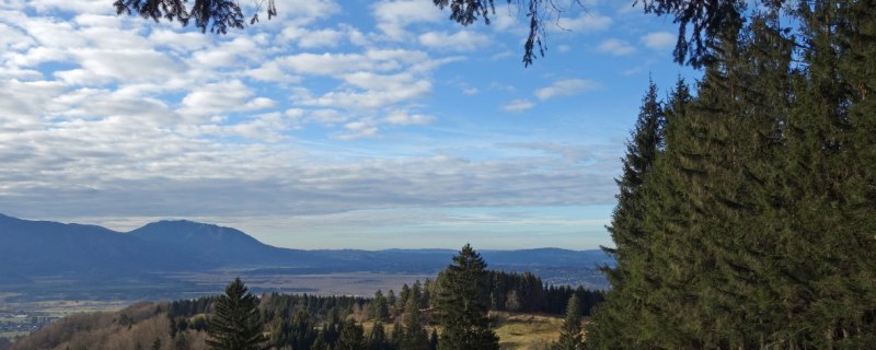 Aussicht Hohentann Richtung Murnauer Moos, © Tölzer Land Tourismus Aussicht Hohentann Richtung Murnauer Moos, © Tölzer Land Tourismus