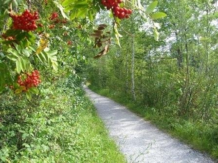Isarwanderweg, © Tölzer Land Tourismus Isarwanderweg, © Tölzer Land Tourismus