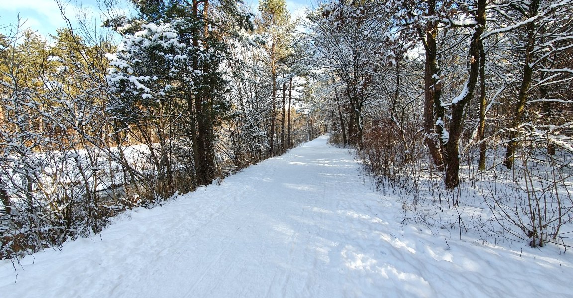 Waldweg, © Unbekannt Waldweg, © Unbekannt