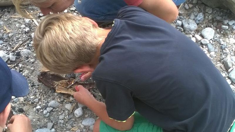 Bild 1 Bild 1