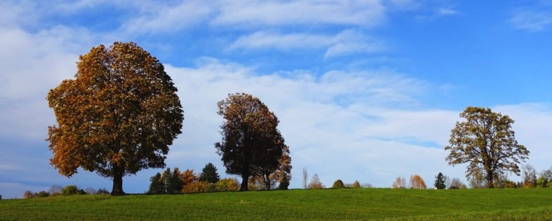 zwischen Benediktbeuern und Bichl, © Gästeinformation Benediktbeuern zwischen Benediktbeuern und Bichl, © Gästeinformation Benediktbeuern