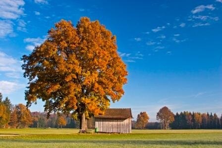 Filze Herbst, © Tölzer Land Tourismus Filze Herbst, © Tölzer Land Tourismus