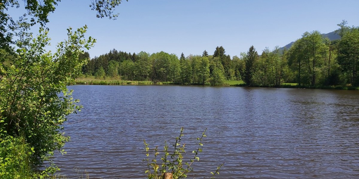 Schönauer Weiher bei Bad Heilbrunn, © Hochschule München Schönauer Weiher bei Bad Heilbrunn, © Hochschule München