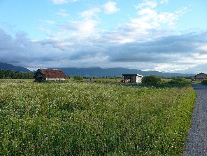 im Loisach-Kochelsee-Moor, © Tölzer Land Tourismus im Loisach-Kochelsee-Moor, © Tölzer Land Tourismus
