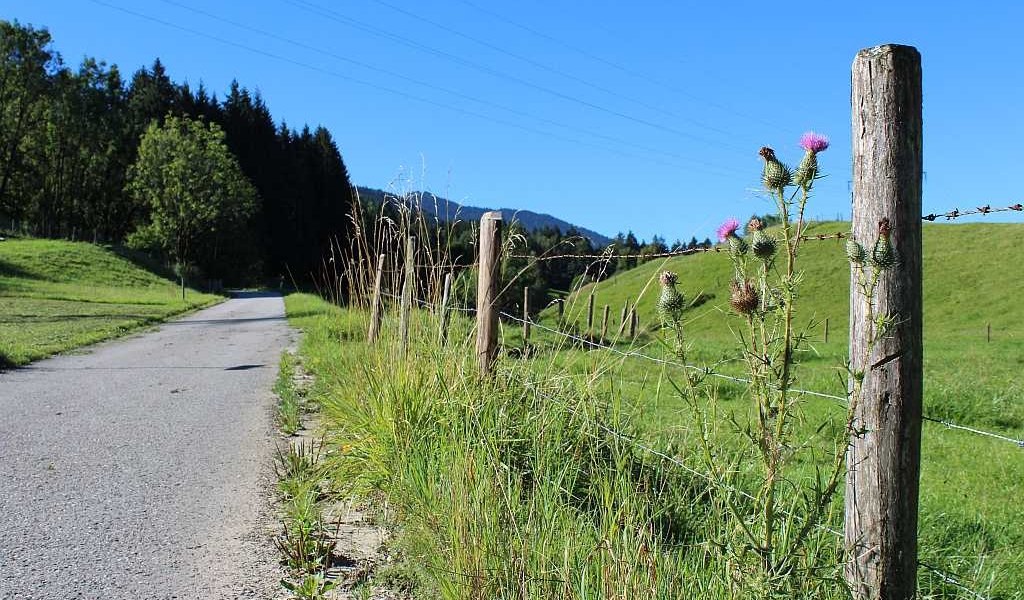 Höhenweg bei Mariabrunn, © Tölzer Land Tourismus Höhenweg bei Mariabrunn, © Tölzer Land Tourismus
