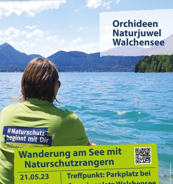 Bild 1 Bild 1