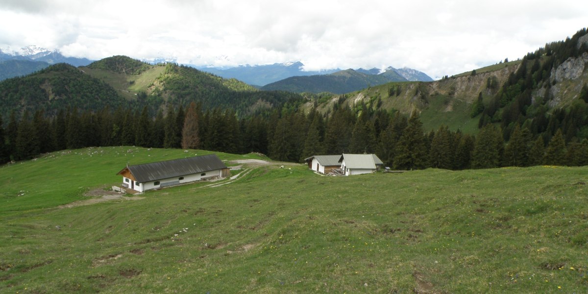 Vordere Scharnitzalm, © Alpiner Ski-Club Vordere Scharnitzalm, © Alpiner Ski-Club