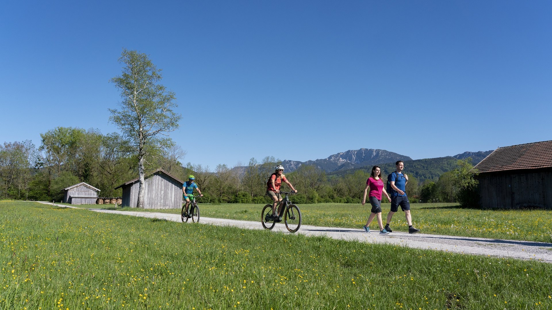 Rad-Wandern durch das Loisach-Kochelseemoor bei Benediktbeuern mit herrlichem Blick auf die markante Bendiktenwand, © Tölzer Land Tourismus u. GI Benediktbeuern|Foto B. Ritschel Rad-Wandern durch das Loisach-Kochelseemoor bei Benediktbeuern mit herrlichem Blick auf die markante Bendiktenwand, © Tölzer Land Tourismus u. GI Benediktbeuern|Foto B. Ritschel