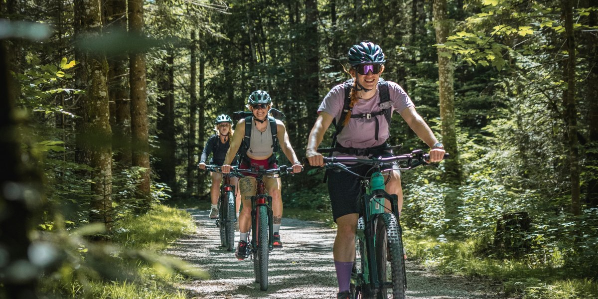 Radfahrer im Wald, © Teresa Kimmel Radfahrer im Wald, © Teresa Kimmel