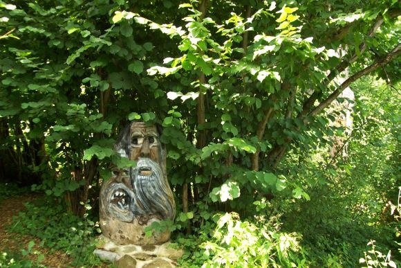 Kräuter-Erlebnisse, © Unbekannt Kräuter-Erlebnisse, © Unbekannt