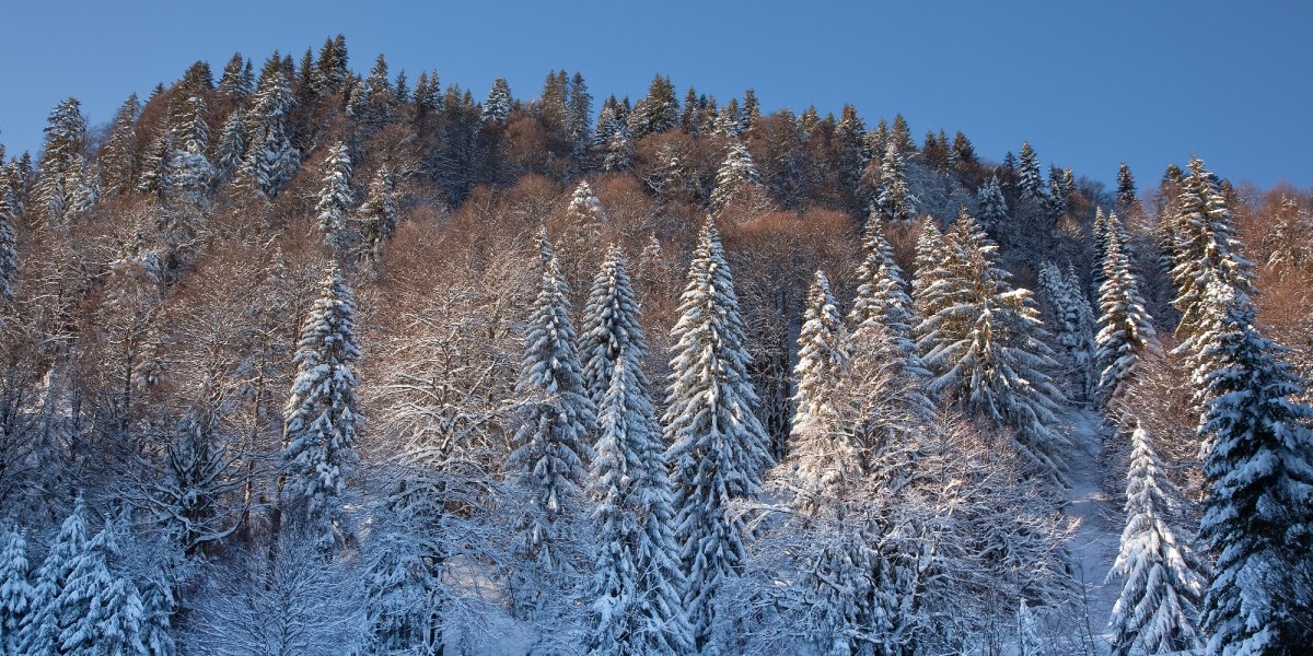 Winterlandschaft in Lenggries, © Tourismus Lenggries Winterlandschaft in Lenggries, © Tourismus Lenggries