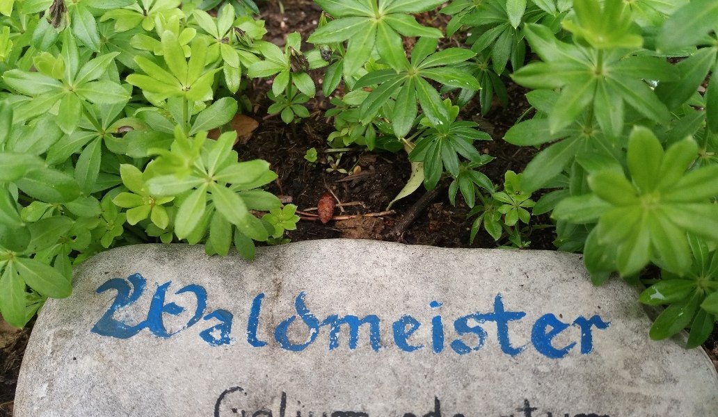 Liebevolle beschriftet sind die Kräuter im Kräuter-Kraft-Kreis der Stadtbücherei Wolfratshausen Liebevolle beschriftet sind die Kräuter im Kräuter-Kraft-Kreis der Stadtbücherei Wolfratshausen