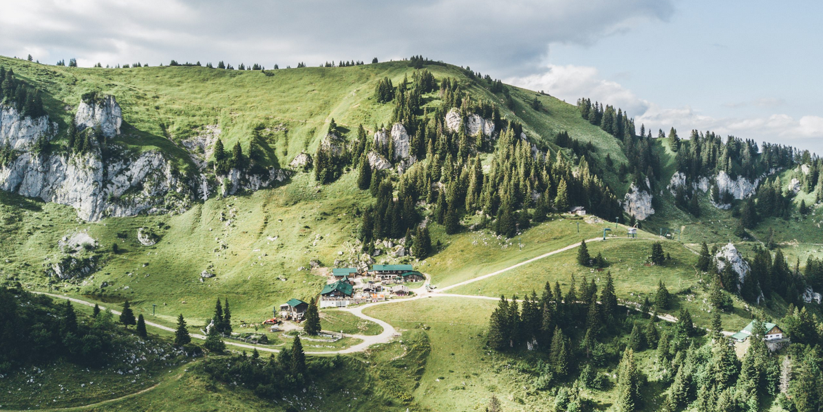 Stiealm Stiealm
