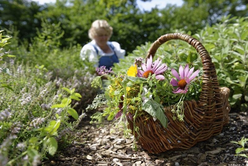 Führungen und Workshops im Kräuter-Erlebnis-Park, © Unbekannt Führungen und Workshops im Kräuter-Erlebnis-Park, © Unbekannt