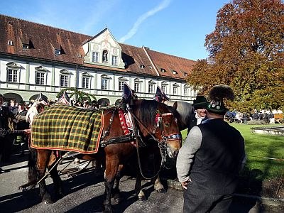 Bild 3 Bild 3