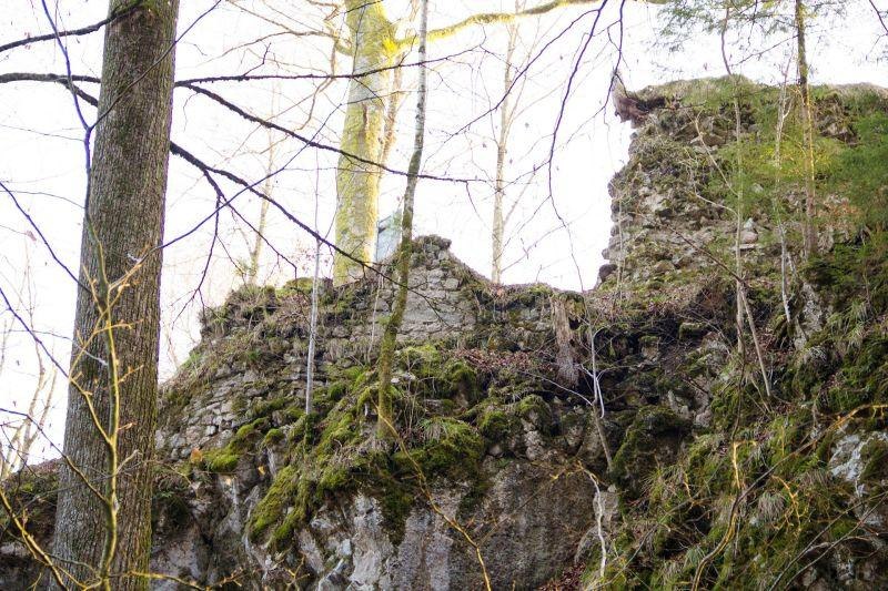 Bild 1 Bild 1