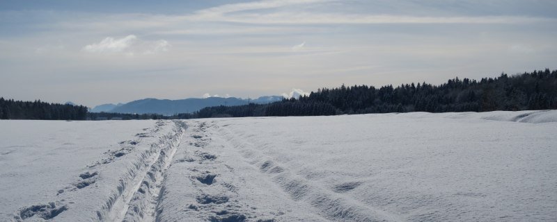 Blick über die Böhmwiese Richtung Süden, © Tölzer Land Tourismus Blick über die Böhmwiese Richtung Süden, © Tölzer Land Tourismus