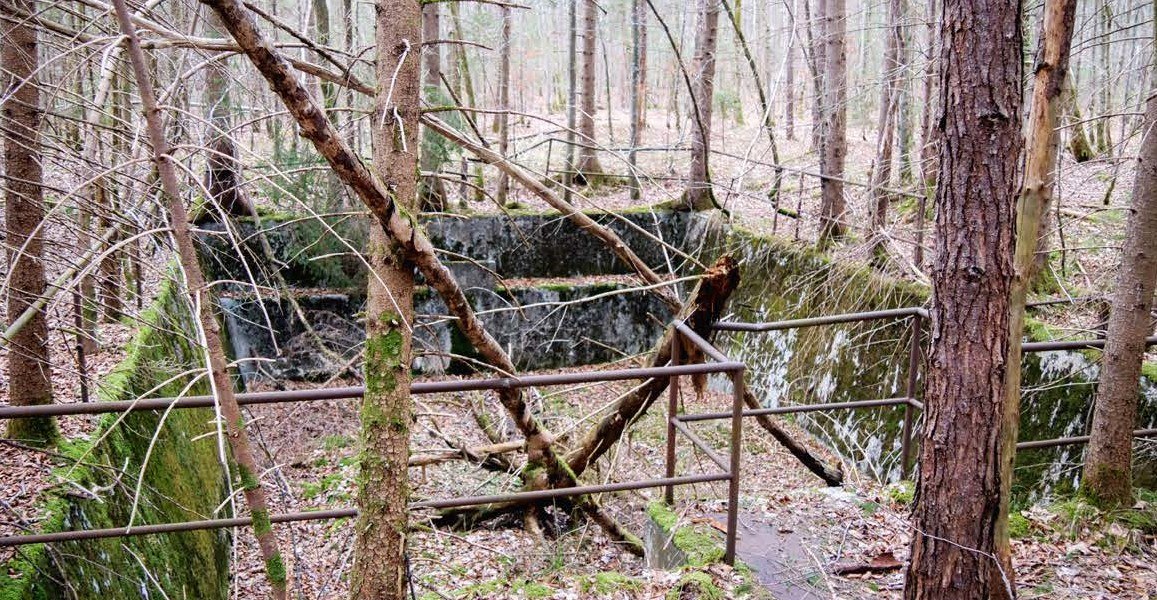 Bild 1, © Justine Bittner Bild 1, © Justine Bittner