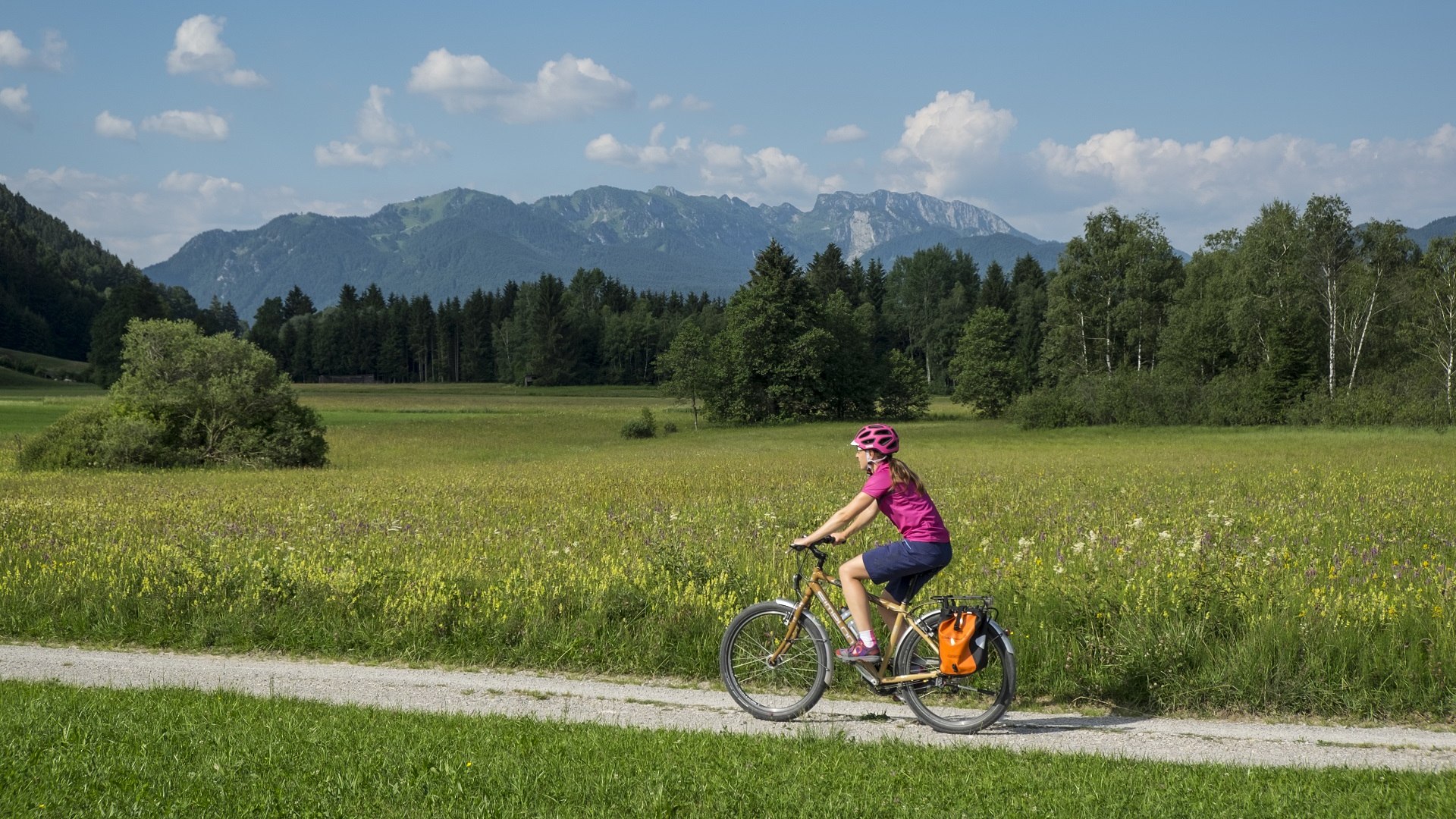 Eine Radfahrerin fährt auf einem Radweg zwischen bunten Blumenwiesen; im Hintergrund erhebt sich die markante Benediktenwand, © Tölzer Land Tourismus|Jörg Spaniol Eine Radfahrerin fährt auf einem Radweg zwischen bunten Blumenwiesen; im Hintergrund erhebt sich die markante Benediktenwand, © Tölzer Land Tourismus|Jörg Spaniol