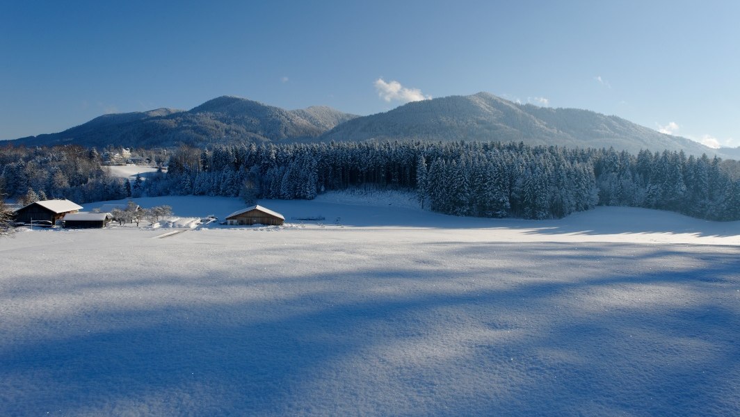 Winterwanderung zum Schönauer Weiher - Rundtour, © Unbekannt Winterwanderung zum Schönauer Weiher - Rundtour, © Unbekannt