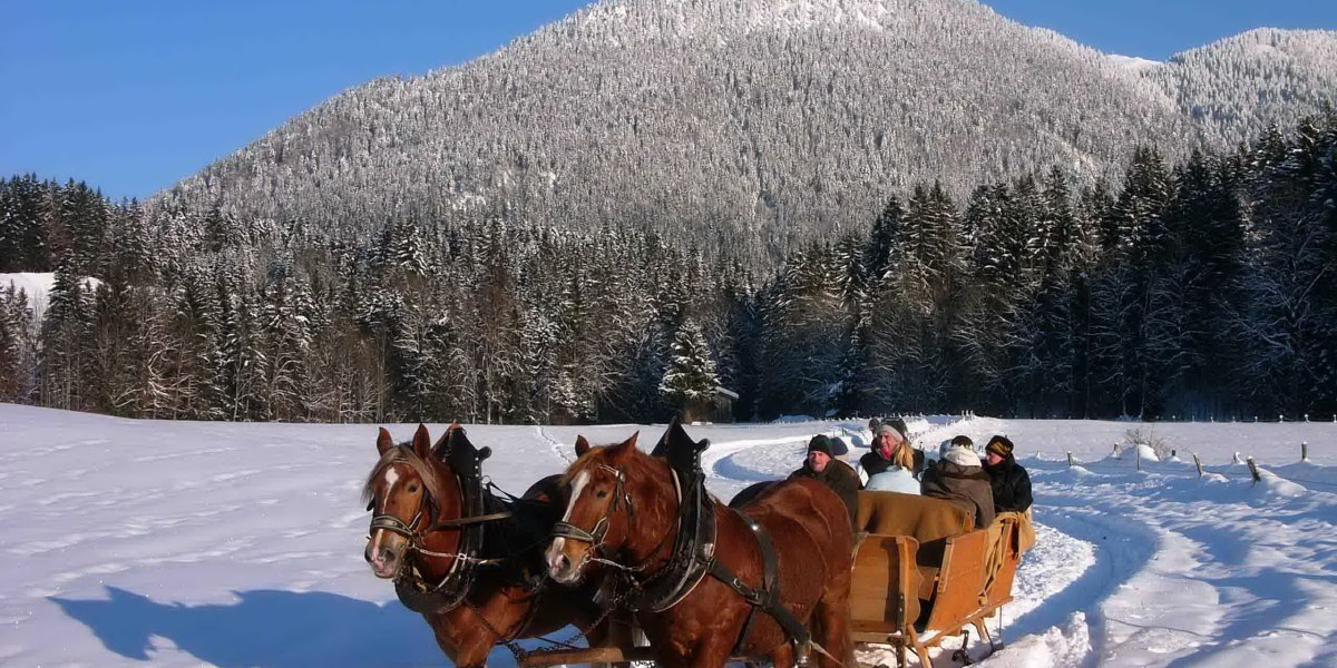 Pferdeschlittenfahrt in Winterlandschaft Pferdeschlittenfahrt in Winterlandschaft