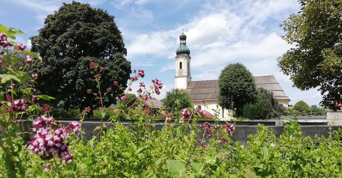 Kräuterpfad Lenggries mit Blick auf die Lenggrieser Pfarrkirche, © Tölzer Land Tourismus Kräuterpfad Lenggries mit Blick auf die Lenggrieser Pfarrkirche, © Tölzer Land Tourismus