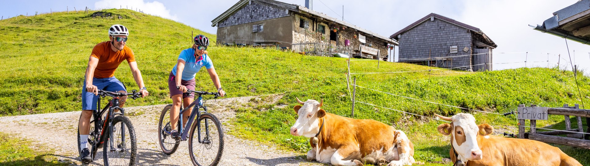 Radfahrer mit Alm und Kühen, © A. Greiter Radfahrer mit Alm und Kühen, © A. Greiter