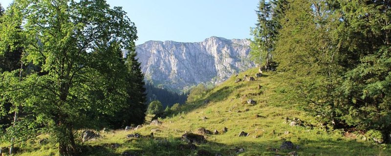 Am Eibelsfleck, © Gästeinformation Benediktbeuern Am Eibelsfleck, © Gästeinformation Benediktbeuern