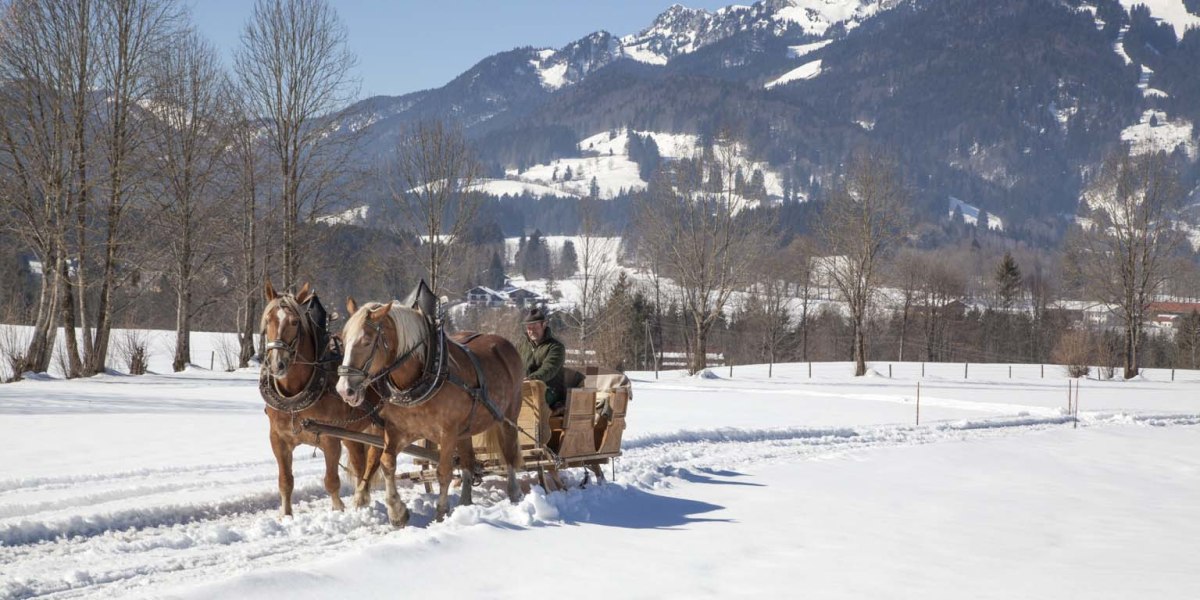 AG_MG_7273 AG_MG_7273