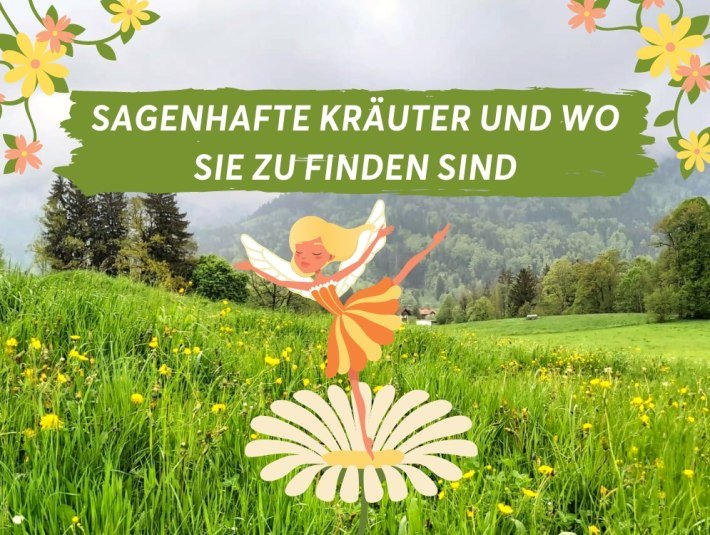 Sagenhafte Kräuter und wo sie zu finden sind - Titelbild, © Fakultät für Tourismus - Hochschule München - Digitales Marketing & Management Sagenhafte Kräuter und wo sie zu finden sind - Titelbild, © Fakultät für Tourismus - Hochschule München - Digitales Marketing & Management