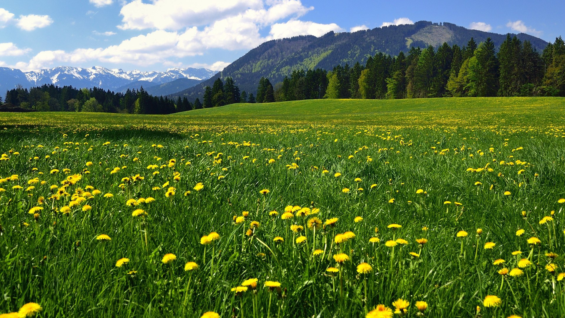 Gemeinde Wackersberg, © Gemeinde Wackersberg / Fotograf: Hirz Gemeinde Wackersberg, © Gemeinde Wackersberg / Fotograf: Hirz