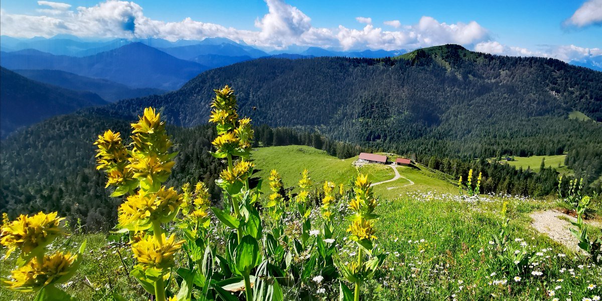 IMG_20200704_132455, © Gästeinformation Jachenau IMG_20200704_132455, © Gästeinformation Jachenau