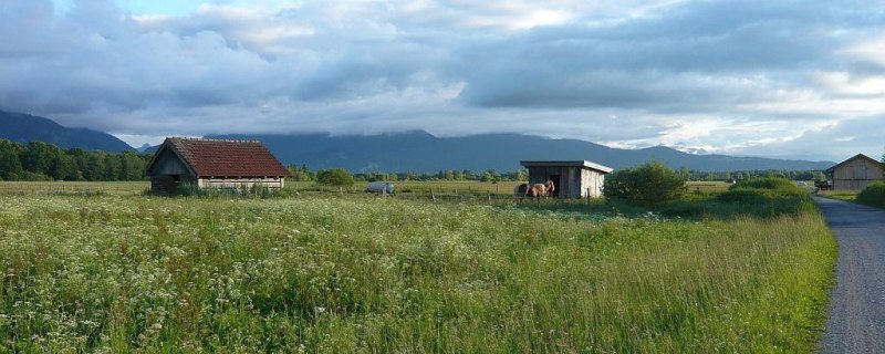 im Loisach-Kochelsee-Moor, © Tölzer Land Tourismus im Loisach-Kochelsee-Moor, © Tölzer Land Tourismus
