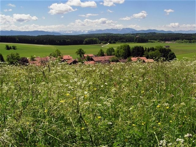 Zellbachtal bei Dietramszell, © Tölzer Land Tourismus Zellbachtal bei Dietramszell, © Tölzer Land Tourismus
