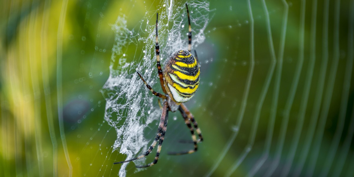 Moor_Kochel_Nebel_13-TKujat (48) Moor_Kochel_Nebel_13-TKujat (48)