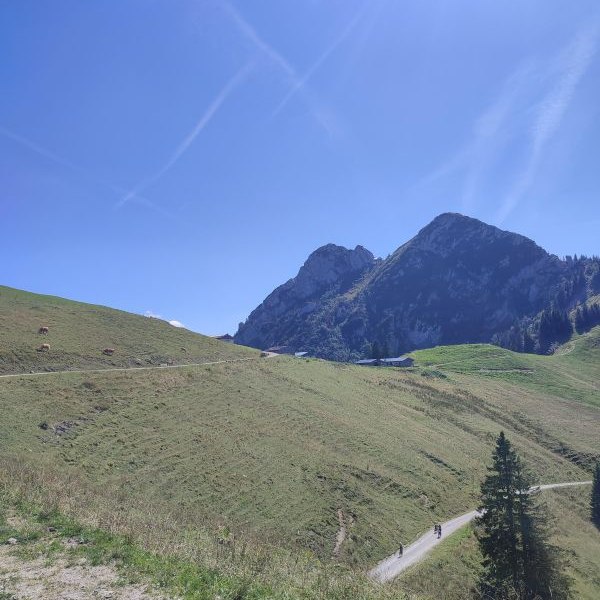 Bild 1 Bild 1