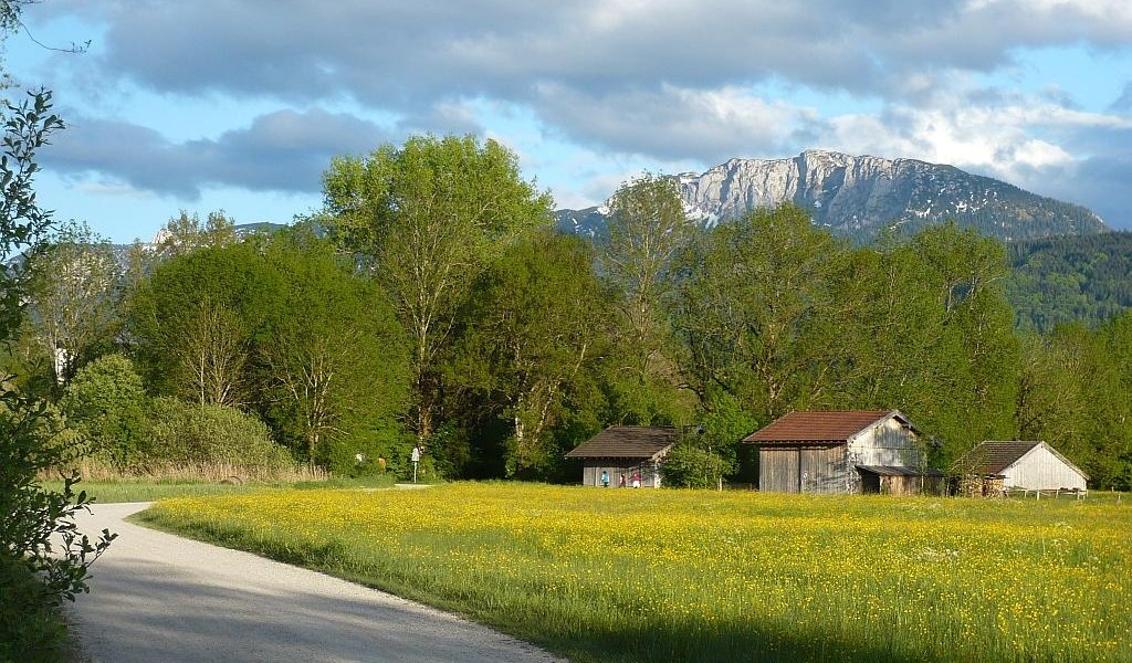 Wanderweg im Moos, © Gästeinformation Benediktbeuern Wanderweg im Moos, © Gästeinformation Benediktbeuern