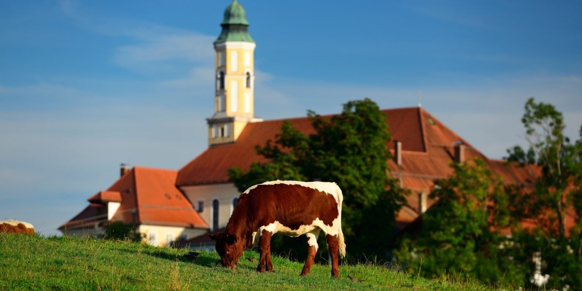 Von Bad Tölz zum Kirchsee und zum Kloster Reutberg und zurück, © Tölzer Land Tourismus Von Bad Tölz zum Kirchsee und zum Kloster Reutberg und zurück, © Tölzer Land Tourismus