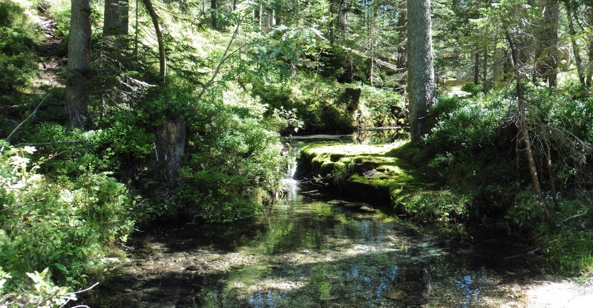 Isarursprung im Hinterautal, © Stadt Wolfratshausen Isarursprung im Hinterautal, © Stadt Wolfratshausen