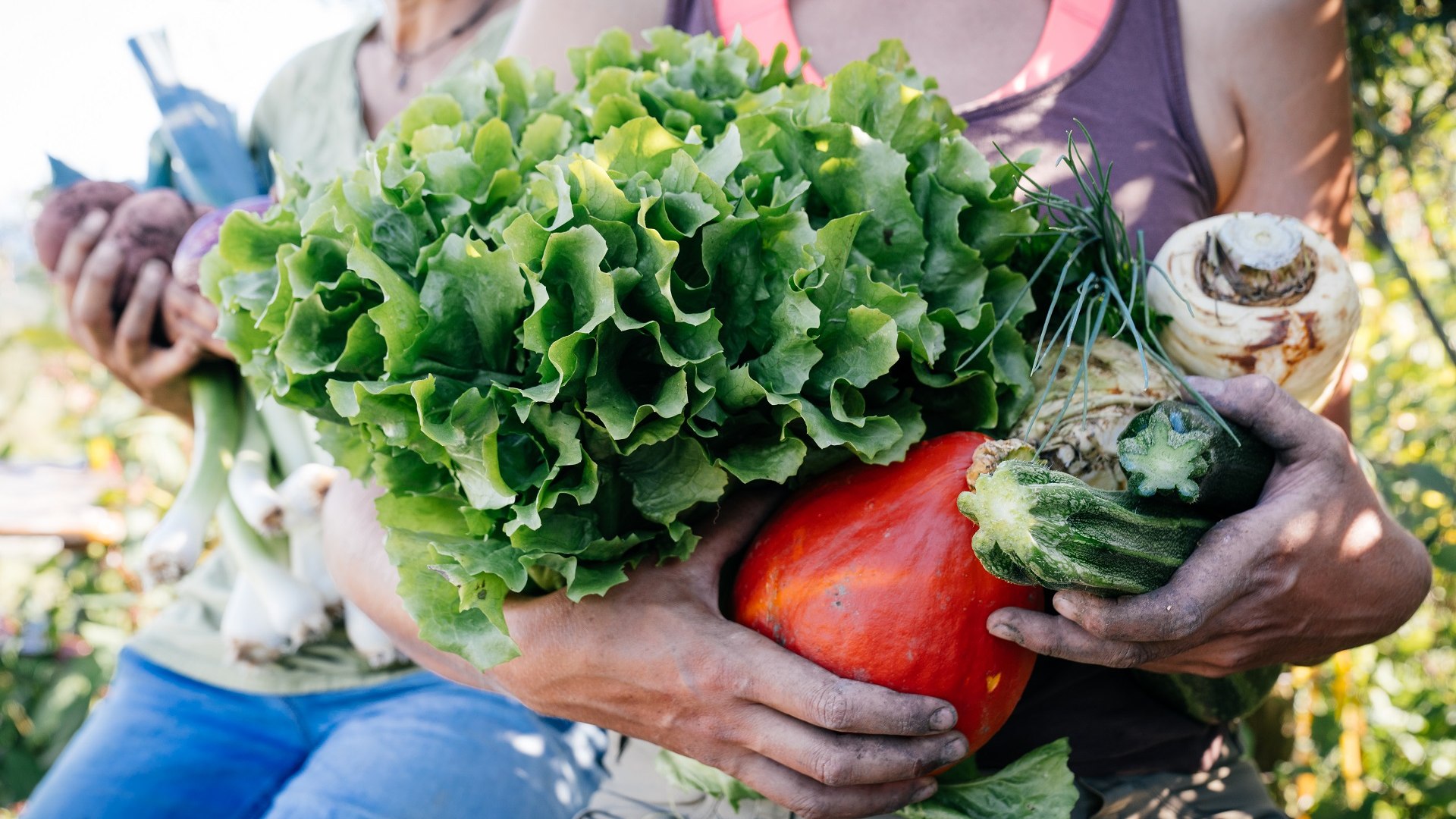 Gemüse aus dem Permagarten, © Stiftung Kunst und Natur Gemüse aus dem Permagarten, © Stiftung Kunst und Natur