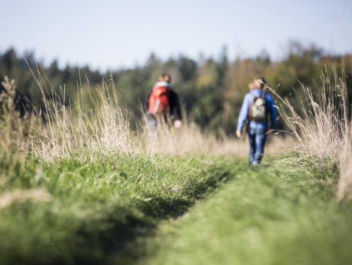 Spaziergang im Grünen, © Stadt Geretsried Spaziergang im Grünen, © Stadt Geretsried