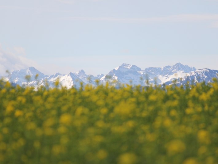Bergpanorama in der Gemeinde Eurasburg, © Tölzer Land Tourismus, Foto: J. Kirschenhofer