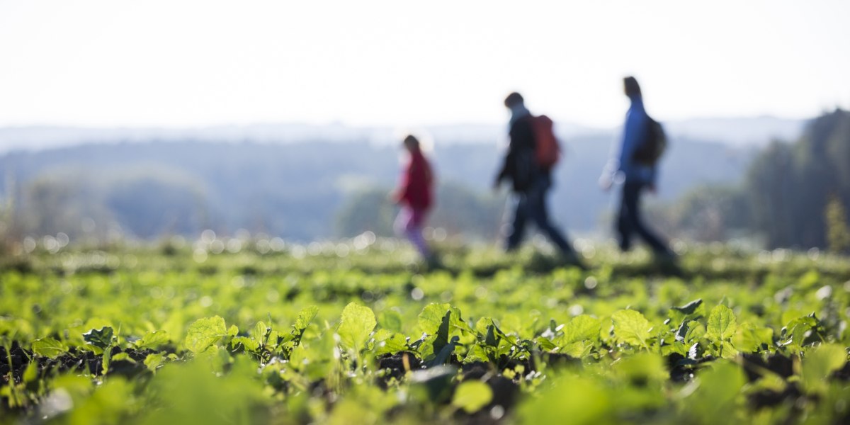 Schwaigwaller Höhe, © Tölzer Land Tourismus Schwaigwaller Höhe, © Tölzer Land Tourismus