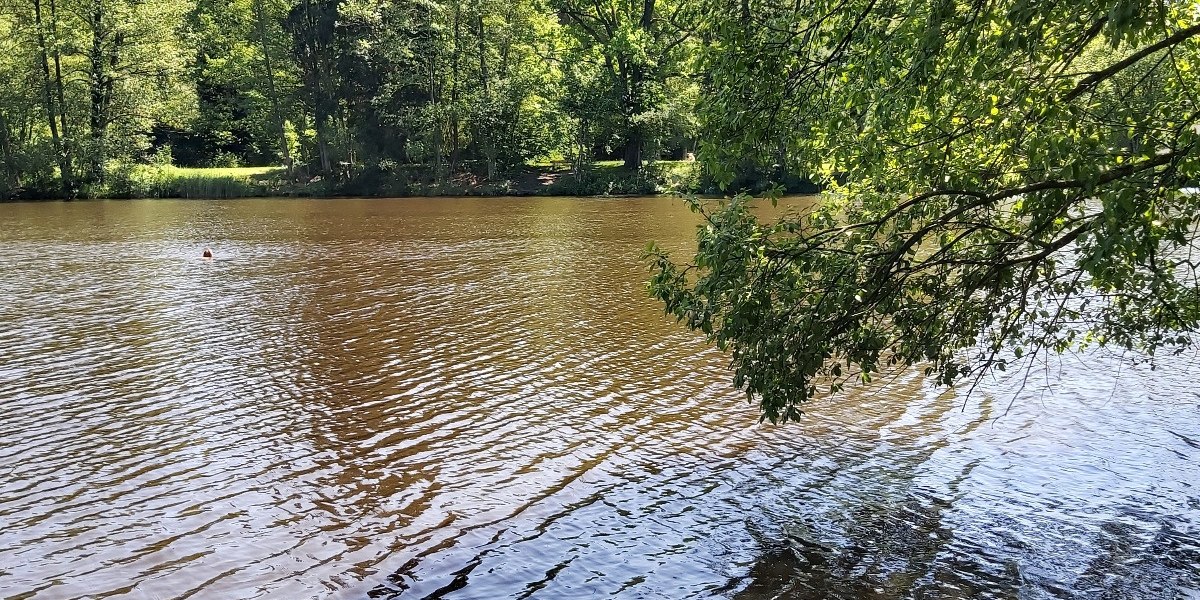 Schönauere Weiher bei Bad Heilbrunn, © Hochschule München Schönauere Weiher bei Bad Heilbrunn, © Hochschule München
